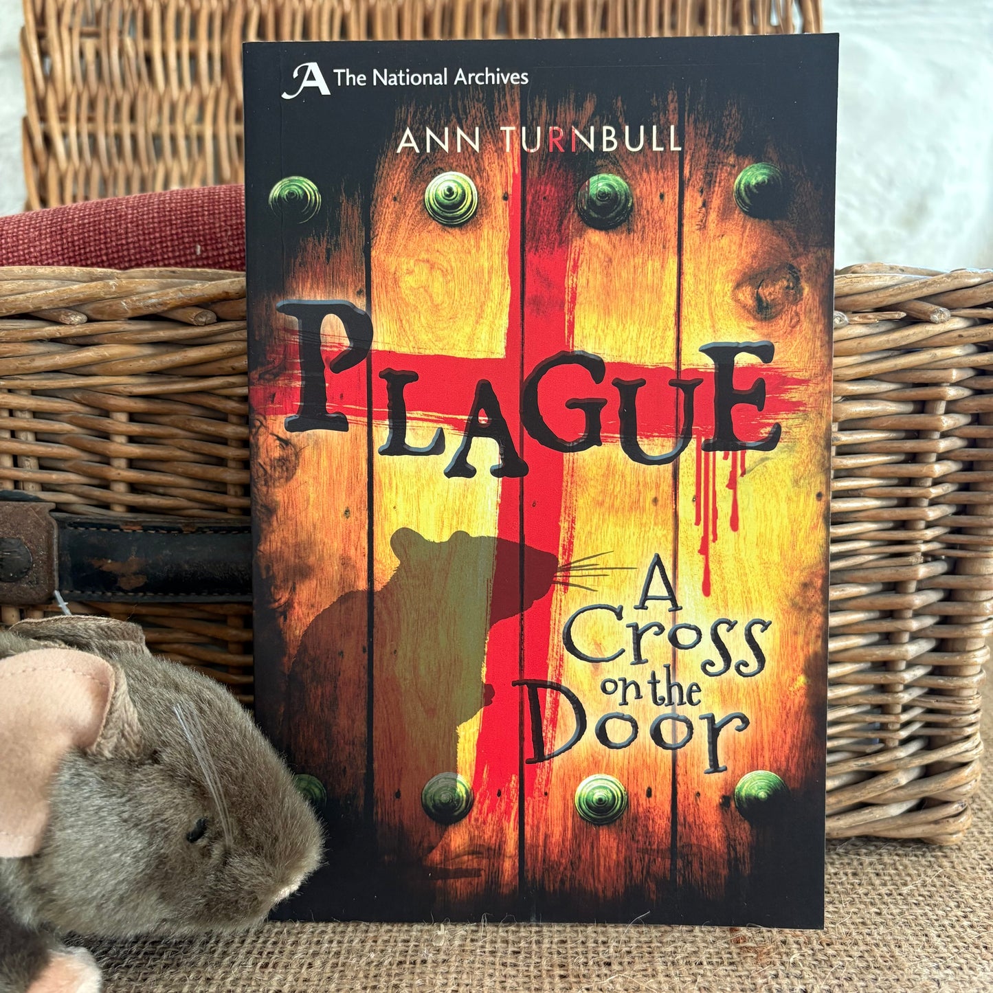 A Cross on the Door by Ann Turnbull