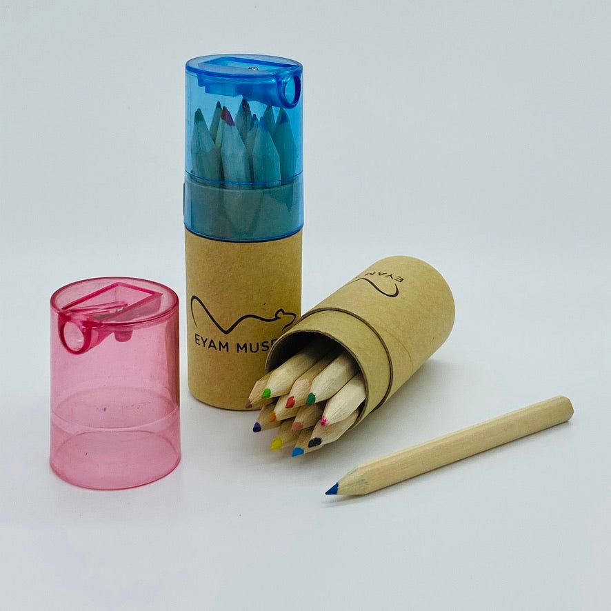 Museum Colouring Pencils