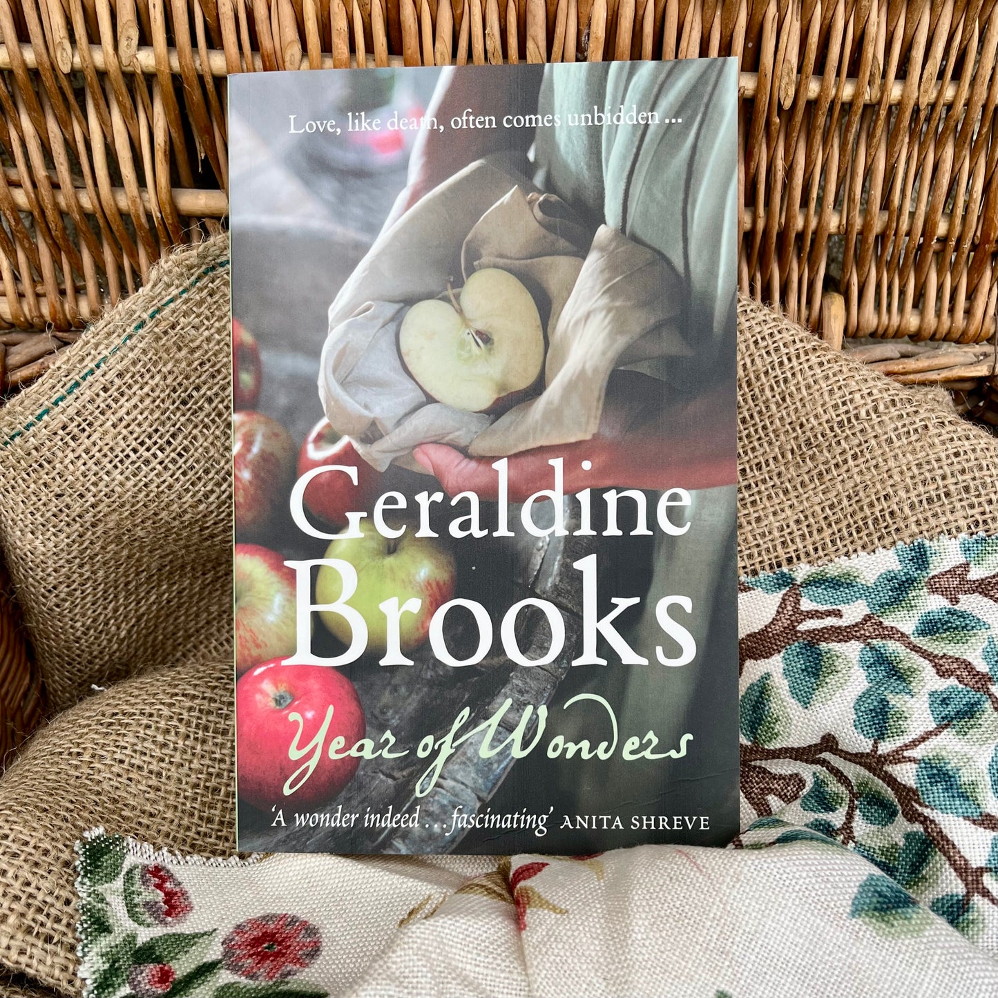Year of Wonders by Geraldine Brooks