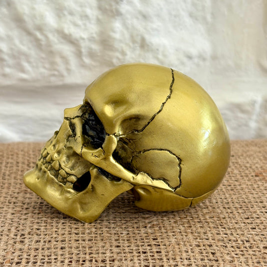 Skull Bottle Opener