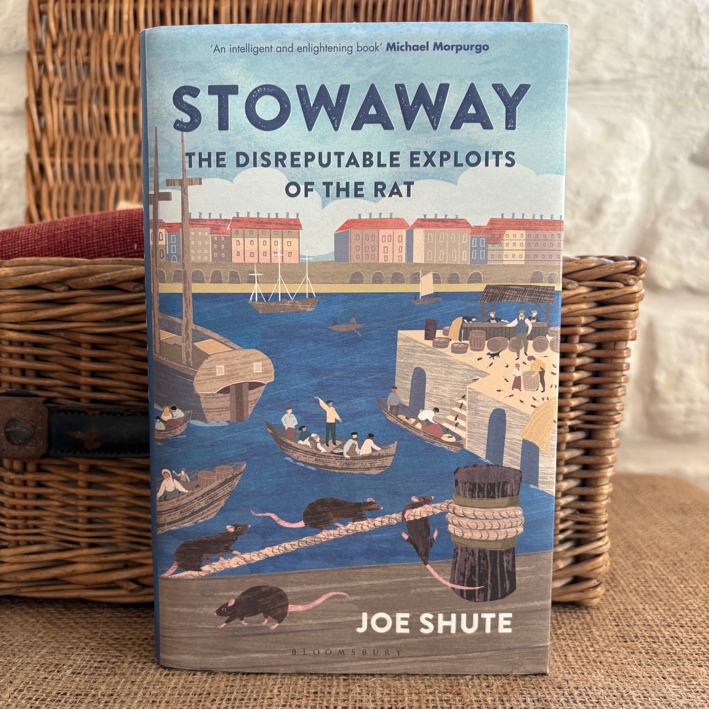 Stowaway: the Disreputable Exploits of the Rat by Joe Shute