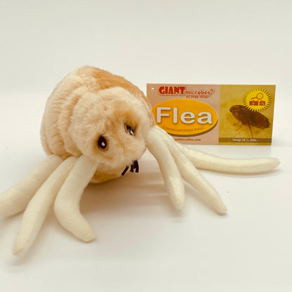 Flea Soft Toy